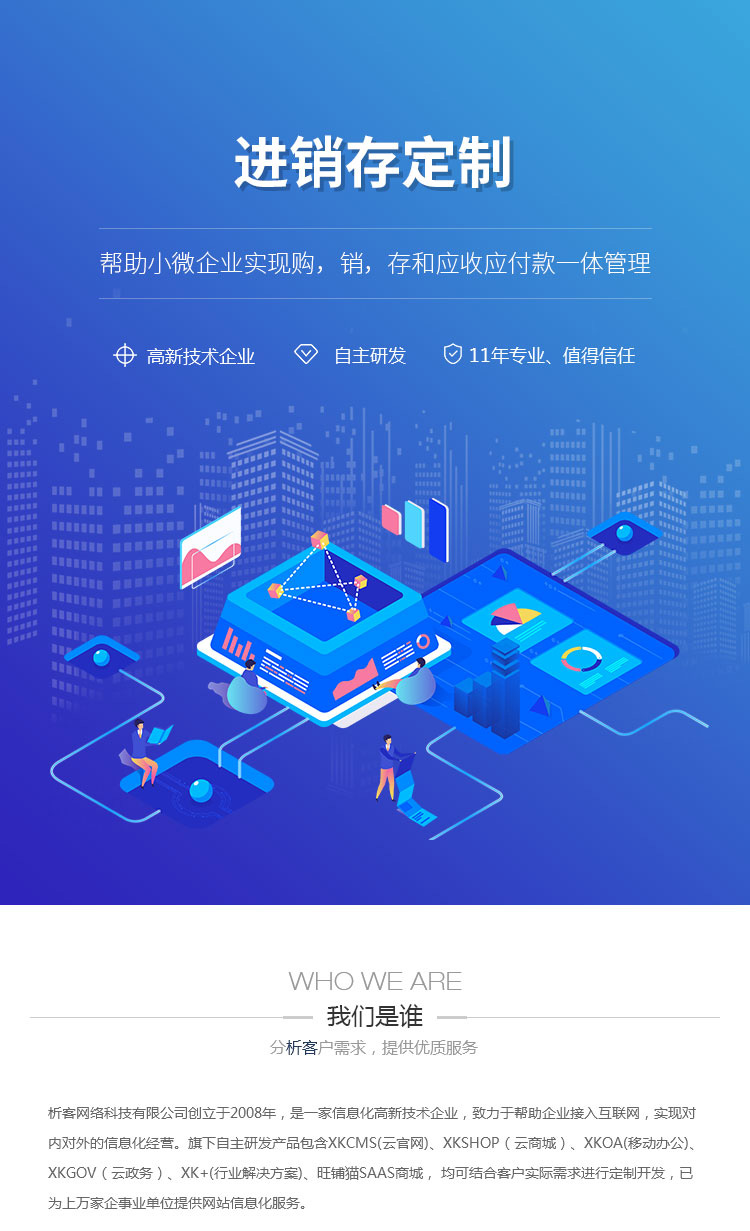 定制进销存系统：企业高效管理的秘密武器